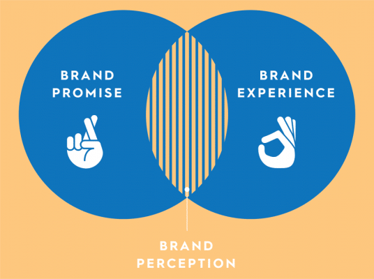 Brand Perception 964x720